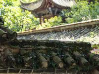 图集 | 昙华寺公园