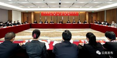 云南省代表团讨论十九届中央纪委工作报告和党章修正案 王宁主持 王予波石玉钢参加