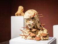 图集 | 蘑菇之语：万物互联的网络展