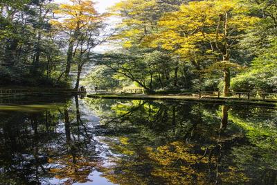 霜降｜倘若你在红河，一定会“醉”在这些风景里！