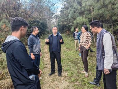 玉溪市文化和旅游局到龙马山景区调研