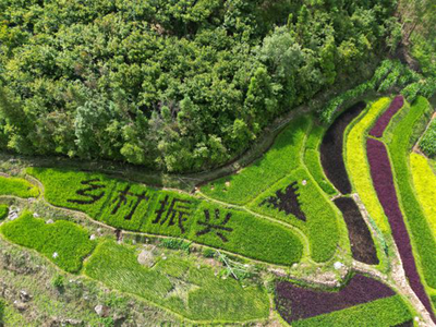 看花海、泡温泉、赏非遗……这里有一份景东旅游指南请查收！