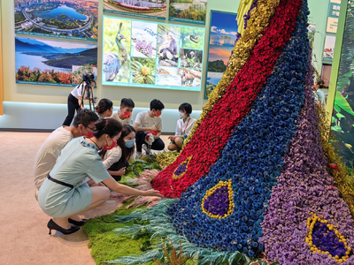 成就展·看云南丨斗南：鲜花铸就的传奇