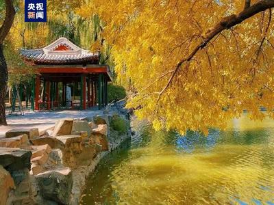 进入最佳观赏季 北京市属公园推出30处彩叶观赏地