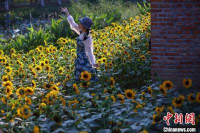 江苏国庆假期共接待游客1992.22万人次 短途游是主流