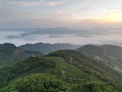 造化钟神秀！墨江龙潭秋日云海美如画