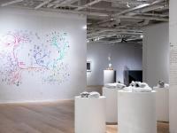 图集 | 蘑菇之语：万物互联的网络展