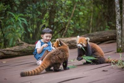 “普洱茶文化+生物多样性”！晚秋时节，来思茅享受一体式森林旅游康养体验