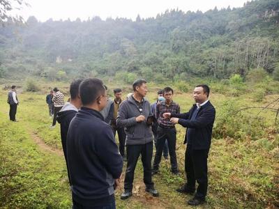 玉溪市文化和旅游局到龙马山景区调研