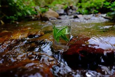 山房待月，清欢寻茗！在清古林茶房邂逅银生茶韵