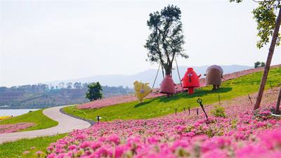 文艺青年在红河玩什么？