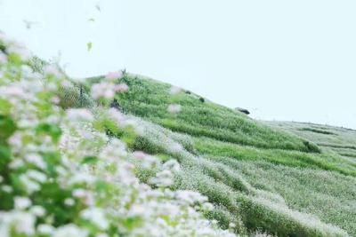 国庆假期临沧接待游客68.46万人次 实现旅游总收入4.27亿元