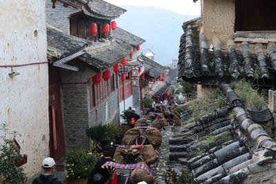 国庆假期9.8万人次走进临沧凤庆体验乡村旅游