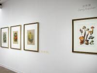 图集 | 蘑菇之语：万物互联的网络展