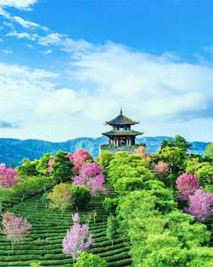 云南省第二批门票减免拟补贴景区名单出炉，普洱市4家景区拟获补贴160.78万元！