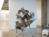 图集 | 蘑菇之语：万物互联的网络展