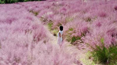 国庆就地游玉溪丨这个秋天，来玉溪追一场绝美秋色！