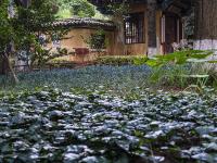图集 | 昙华寺公园