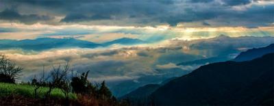 哀牢云海美如画 蓬莱仙境入梦来