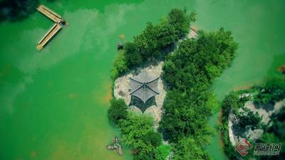 早安云南 | 罗平相石阶森林公园：藏身城市里的宁静与诗意
