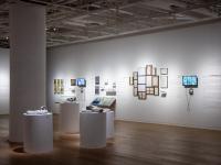 图集 | 蘑菇之语：万物互联的网络展