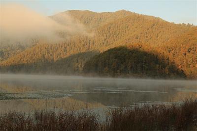 【有一种生活叫大理】走，去大理赏秋泡温泉去！