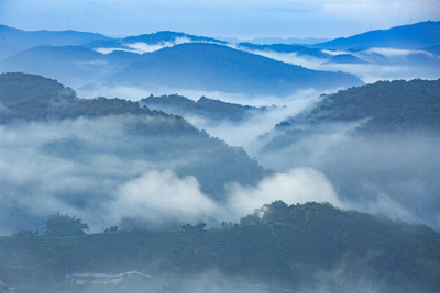 人生海海，到宁洱德化赴一场星空之约！