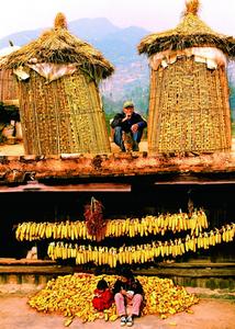 霜降｜倘若你在红河，一定会“醉”在这些风景里！