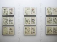 图集 | 蘑菇之语：万物互联的网络展