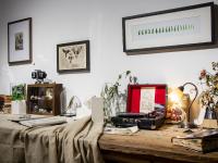 图集 | 蘑菇之语：万物互联的网络展