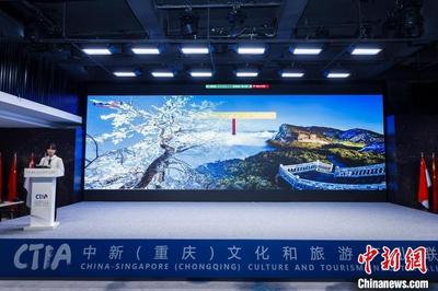 中新（重庆）文化和旅游产业联盟成立