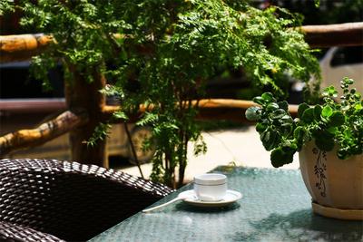 双十一来袭，红河州景区送福利啦！