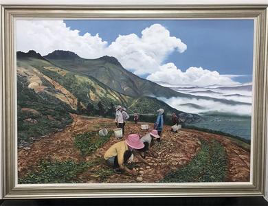 “彩云奖”获奖名单出炉，普洱3个作品上榜！