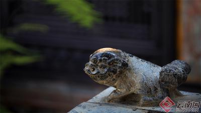 早安云南｜团山民居：巷陌炊烟闻古香，邂逅云南“楼兰古城”