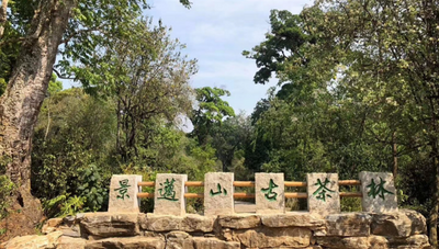 “升级”啦！普洱市3家景区获国家4A级旅游景区授牌