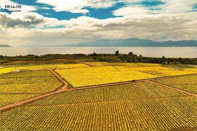秋日到抚仙湖，做一场色彩缤纷的梦