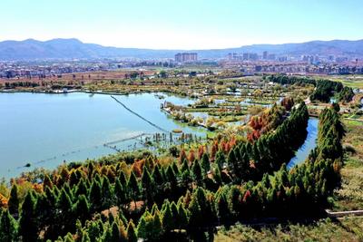 玉溪江川：色彩斑斓中山杉 星云湖畔醉人心