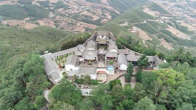 【大理好礼】形似雀嘴的茶，你喝过吗？