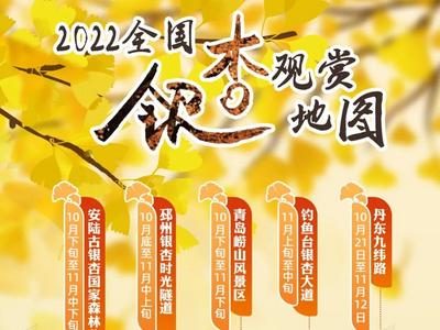 全国银杏观赏地图来了！云南腾冲等十大最美银杏地限时解锁→