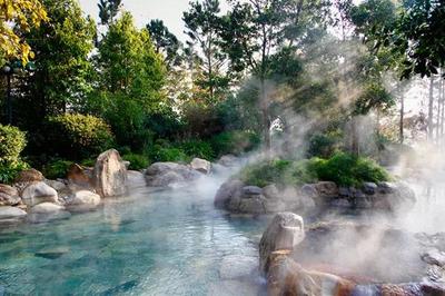 为什么一定要到弥勒过冬?            