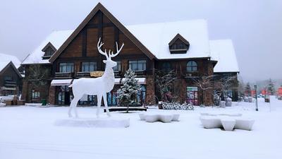 冬奥遗产“活起来” 全域全时“热下去”