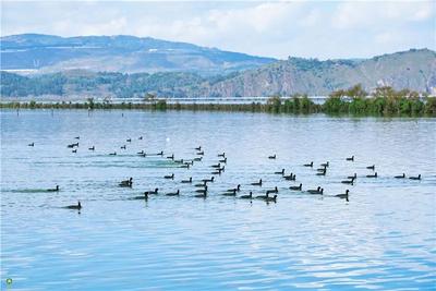 云南16州市文旅局局长诚邀您来云南看盛夏美景！