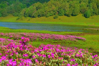 【一月一县市·云龙】山水为形 文化为魂 擘画云龙文旅新景象