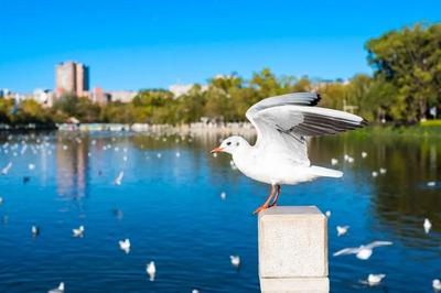 云南的冬天“深藏Blue”！