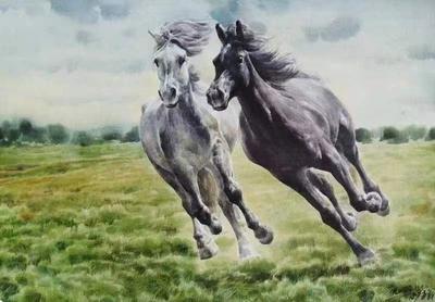 奔腾与拼搏——访著名画家宋义