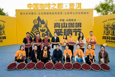 普洱有“大咖”！首届普洱高山咖啡采摘节带你领略别样精彩