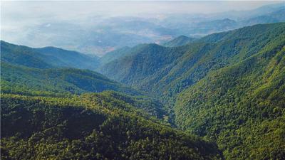 冬日旅行，为什么要来普洱？