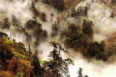 大雪节气的怒江，依旧激情澎湃！