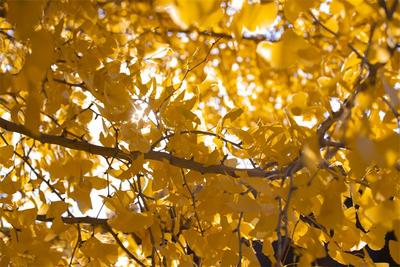 【冬游大理】这些人少景美的旅行地，很难不令人心动