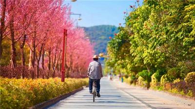 冬日旅行，为什么要来普洱？